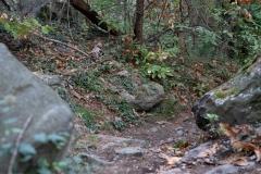 Traildellemacine-238-2363