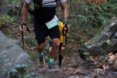 Traildellemacine-289-2363