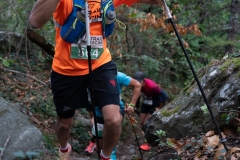 Traildellemacine-310-2363