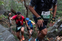 Traildellemacine-320-2363