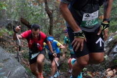Traildellemacine-321-2363