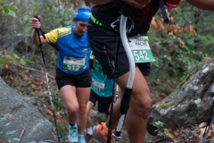 Traildellemacine-323-2363
