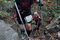 Traildellemacine-377-2363