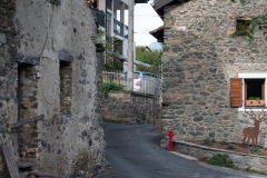 Traildellemacine-416-2363